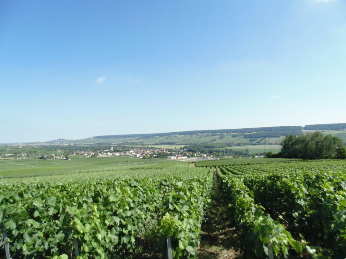 La Mignonette Épernay Exterior foto